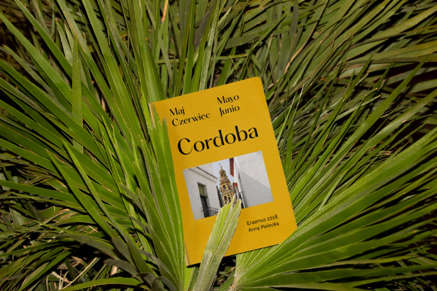 cordoba