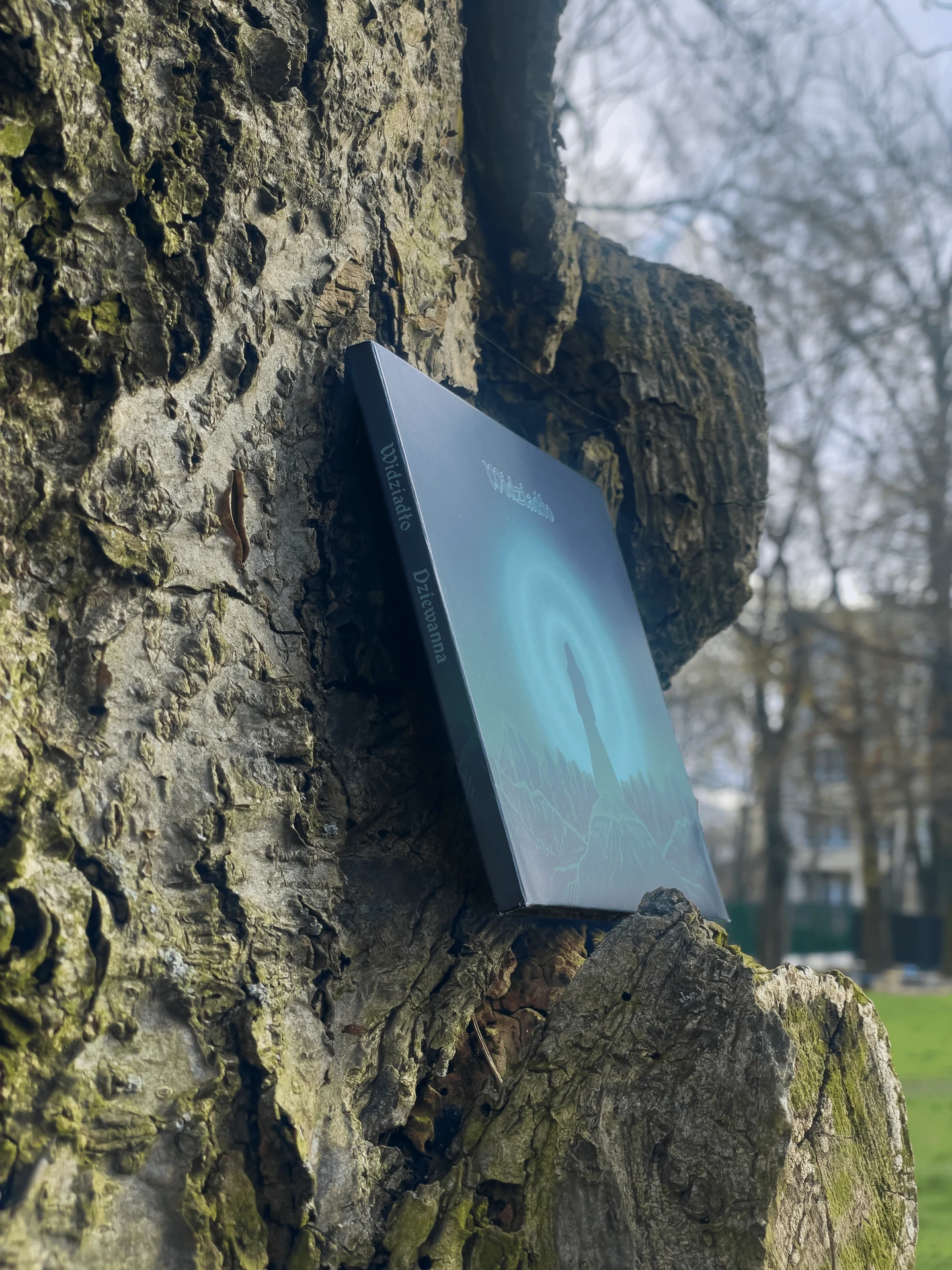 /_next/static/media/dziewannaTree-1440-q90.1f185d8c.webp