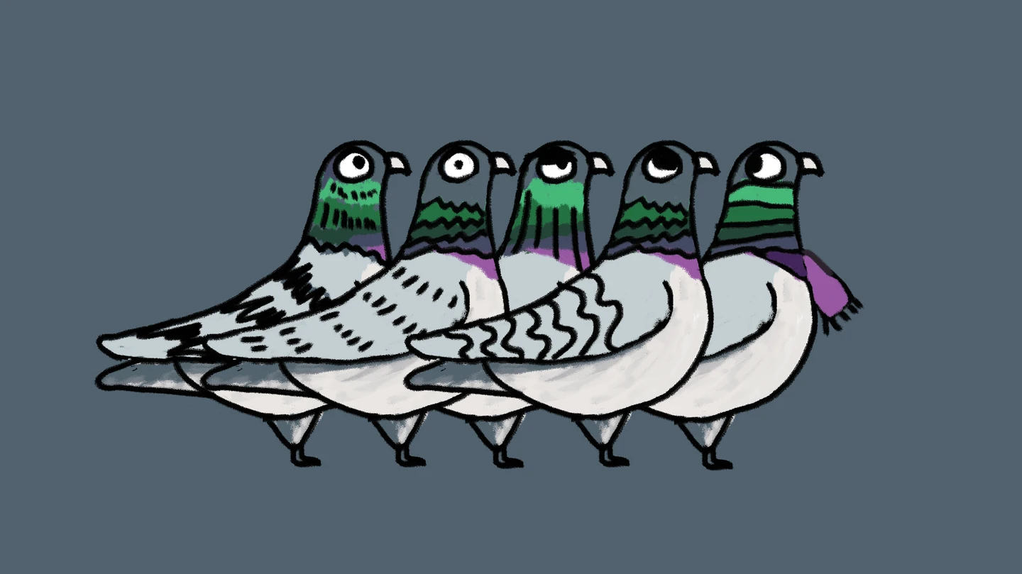 /_next/static/media/pigeonsGroup2-1440-q90.3f65cc5c.webp