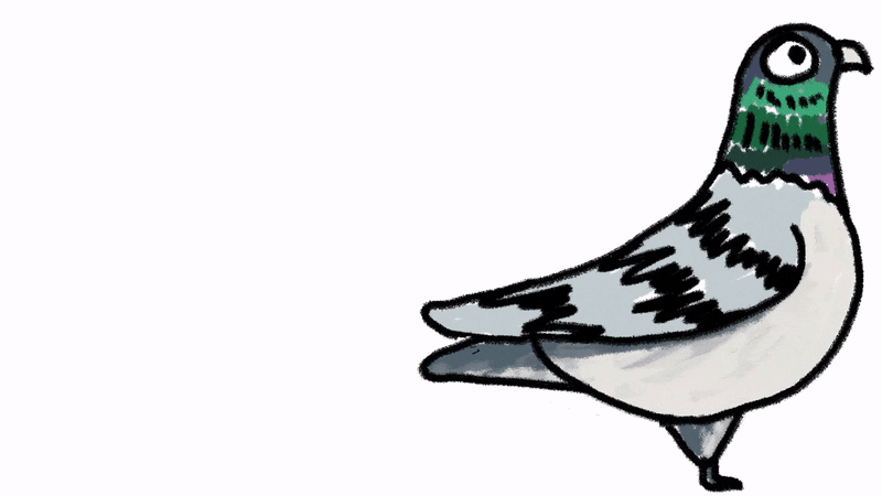 /_next/static/media/pigeonsMultiply.52ba307b.gif