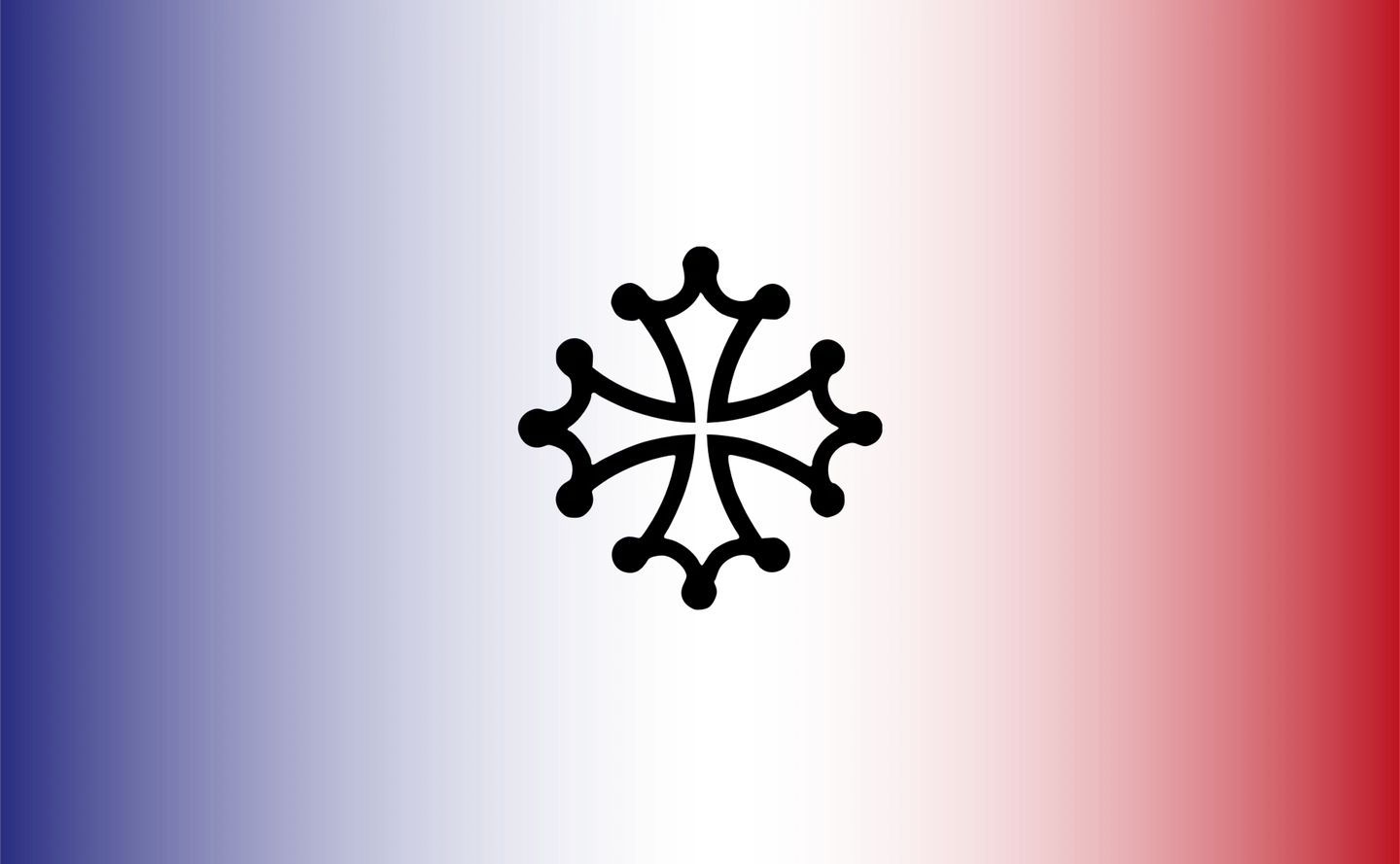 /_next/static/media/toulouseFlag-1440-q90.1f97c16c.webp