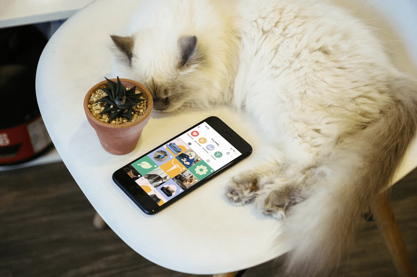 /_next/static/media/zleepyVisualCat-1440-q90.017c7881.webp