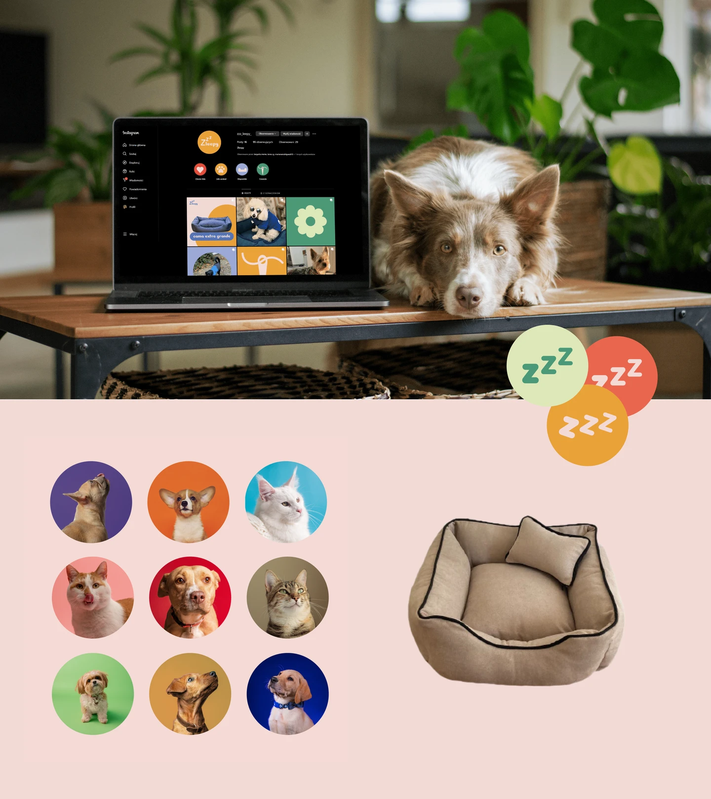 /_next/static/media/zleepyVisualDog-1440-q90.179df1f5.webp